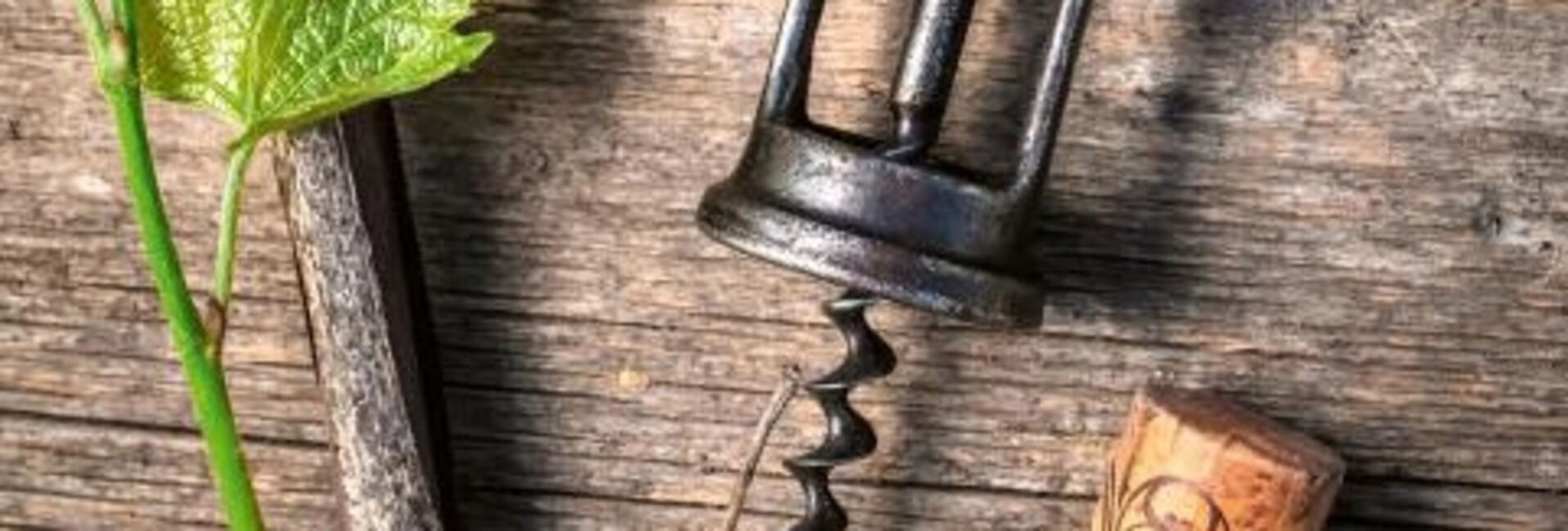 Korkenzieher, Muskelkraft und Hebelgesetz