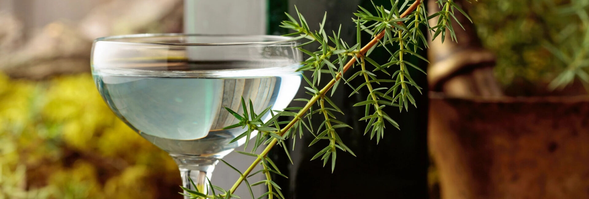 Die Süsse und Bitternis des Lebens: Der Digestif